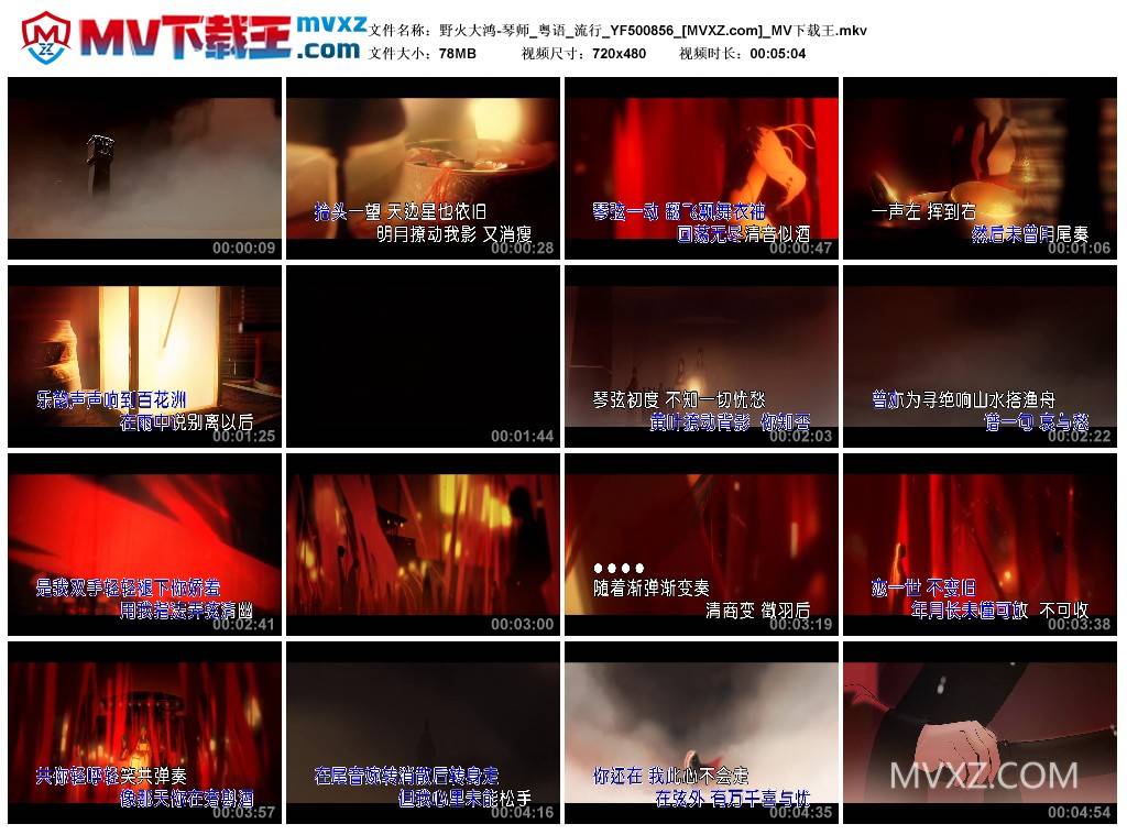 野火大鸿-琴师_粤语_流行_YF500856